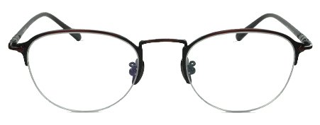 Titanium glasses frames