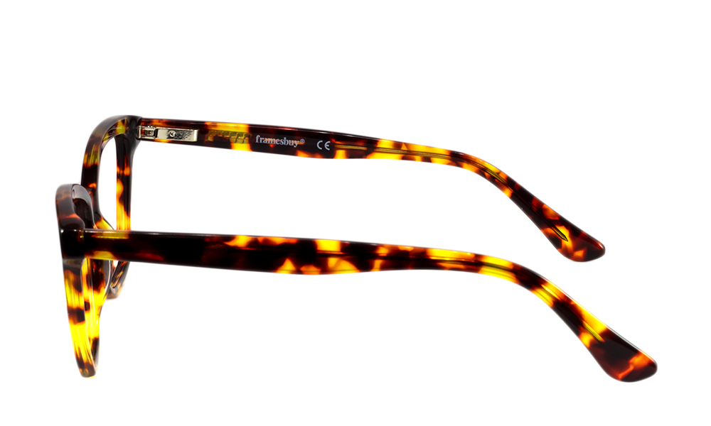 Arturo Horn Brown Full Rim Eyeglasses