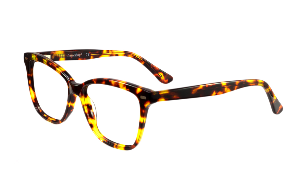 Arturo Horn Brown Full Rim Eyeglasses