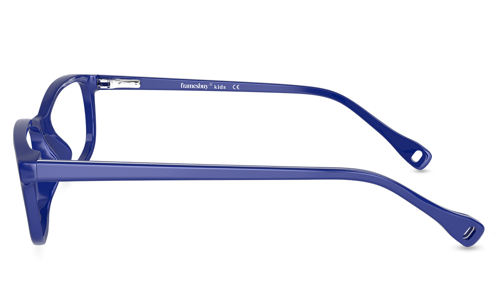Dexter Rectangle Blue Full Rim Eyeglasses