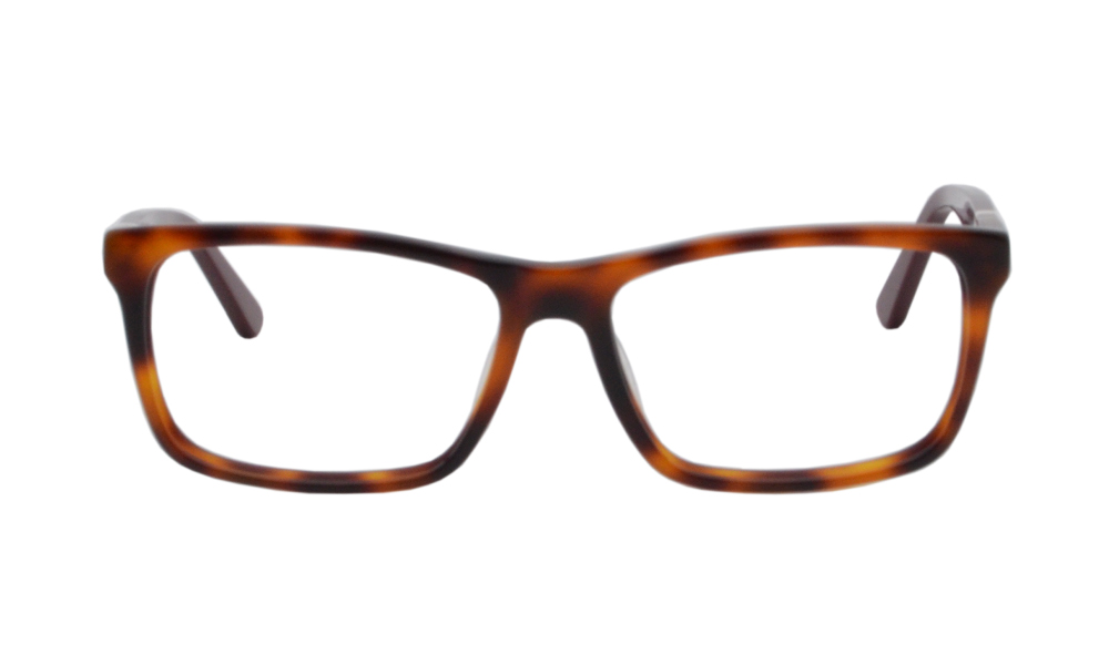 Simba Eyeglasses Frame