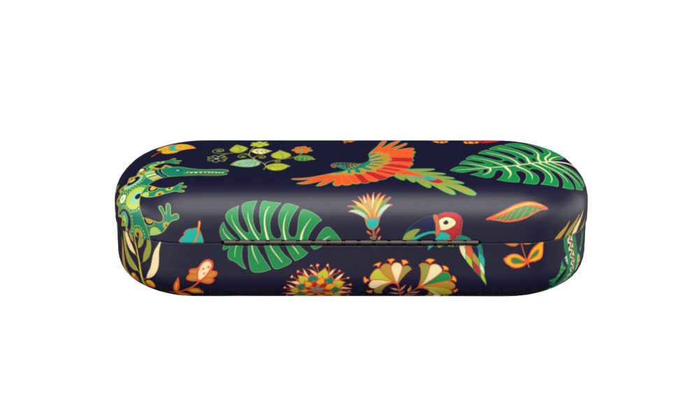 Oz Land Hard Case    Cases