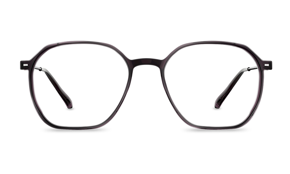 Flex Eyeglasses Frame