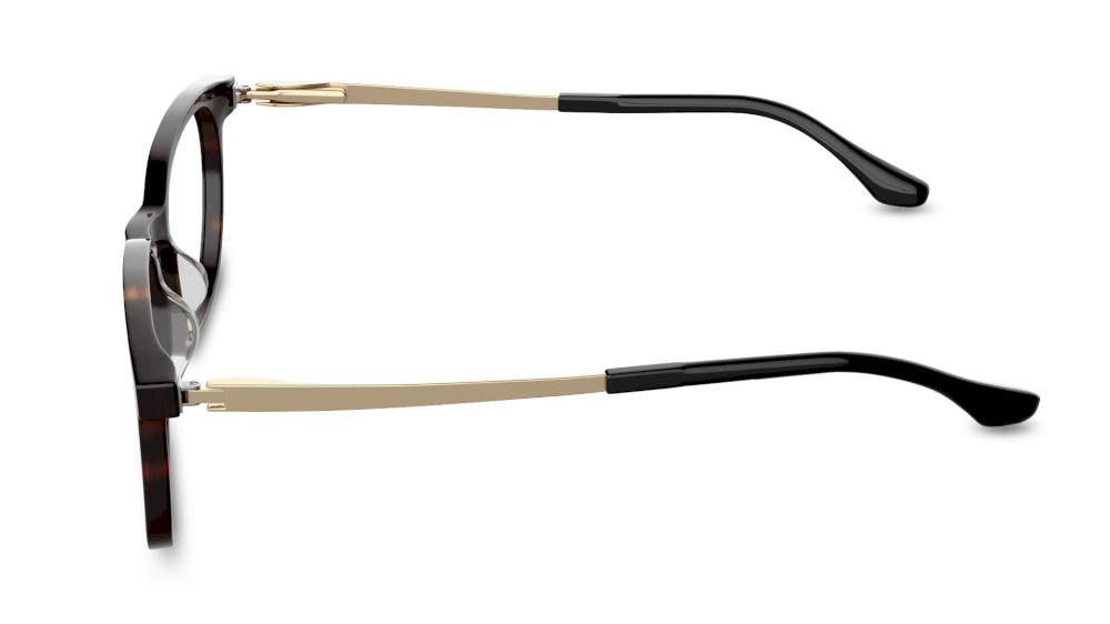 Tyler Round Tortoise Full Rim Eyeglasses