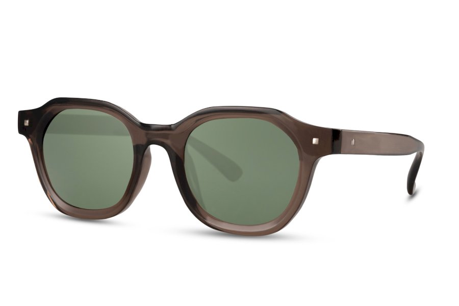 Cedar Wayfarer Brown Full Rim Sunglasses
