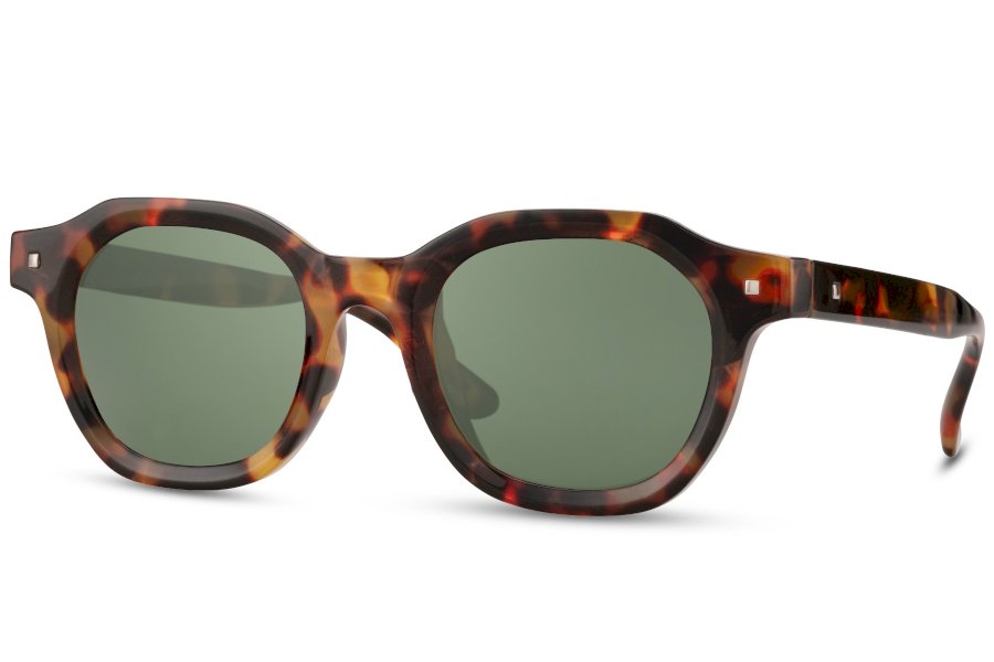 Mavro Wayfarer Brown Full Rim Sunglasses