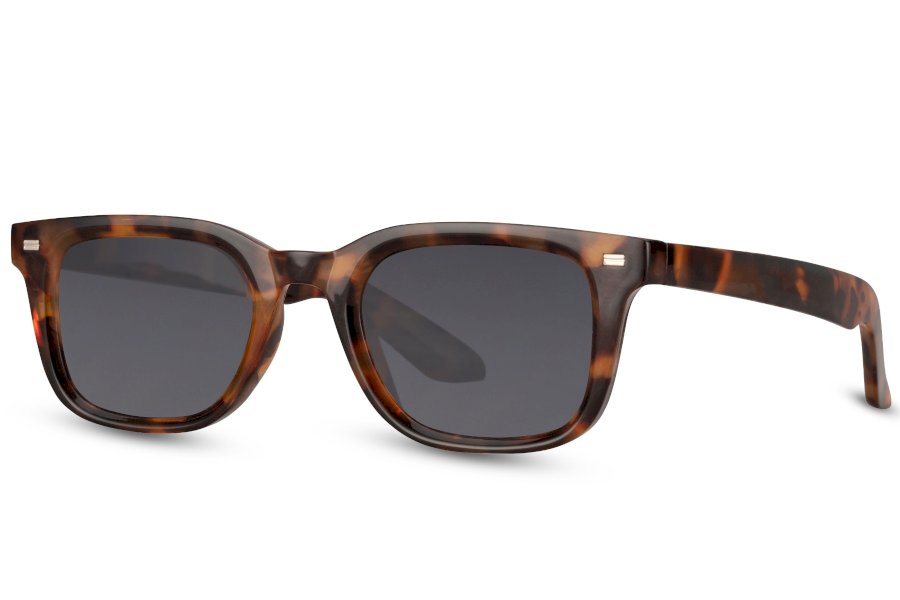 Roano Wayfarer Brown Full Rim Sunglasses