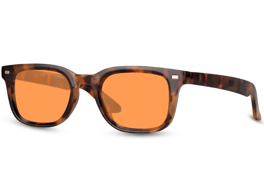 Bramble Wayfarer Brown Full Rim Sunglasses